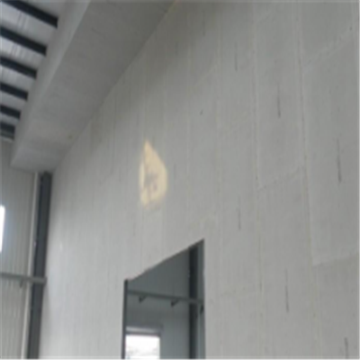 波阳宁波ALC板|EPS加气板隔墙与混凝土整浇联接的实验研讨